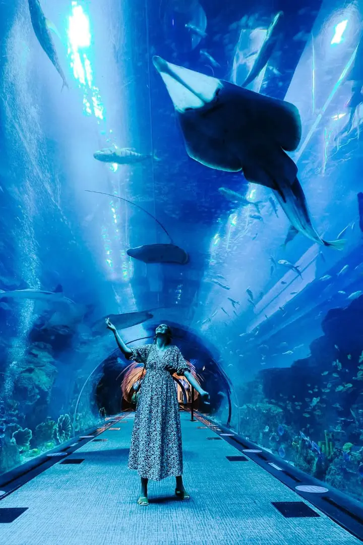 Burj Khalifa + Dubai Aquarium — photo 4 of 5