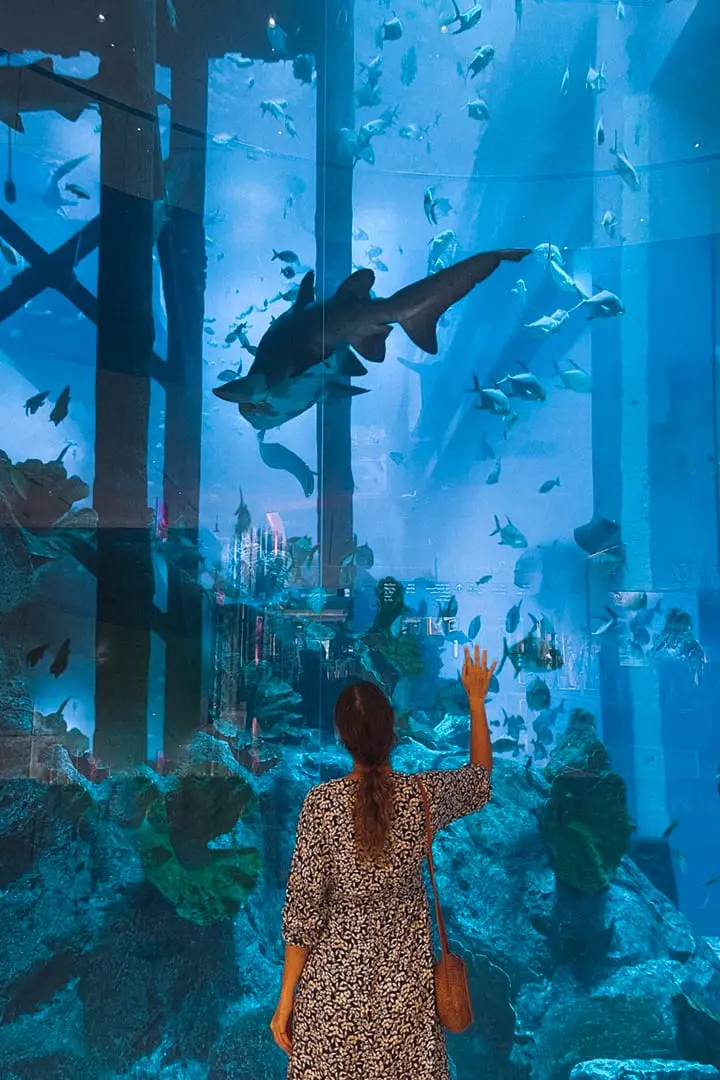 Dubai Aquarium & Underwater Zoo — photo 1 of 4