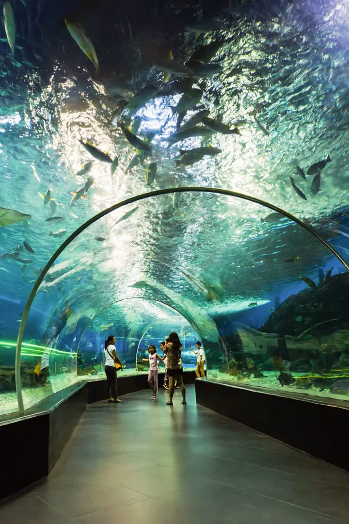 Dubai Aquarium & Underwater Zoo — photo 4 of 4