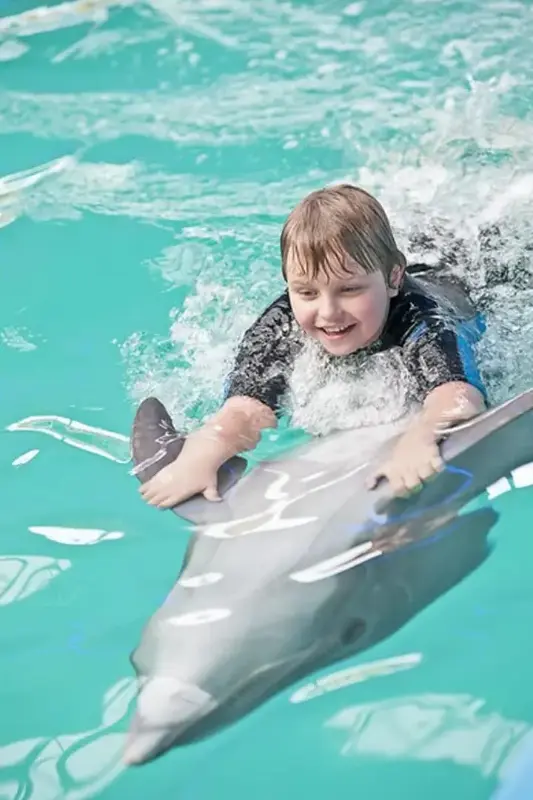 Dubai Dolphinarium (Dubai Dolphin Show) — photo 4 of 4