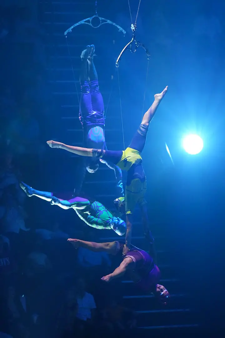 La Perle By Dragone Show — photo 3 of 4