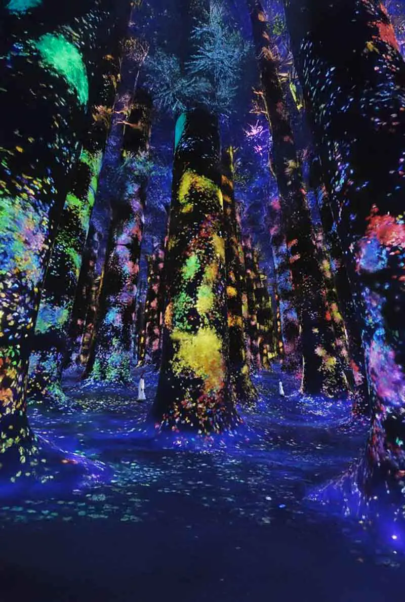 TeamLab Phenomena Abu Dhabi — photo 10 of 10