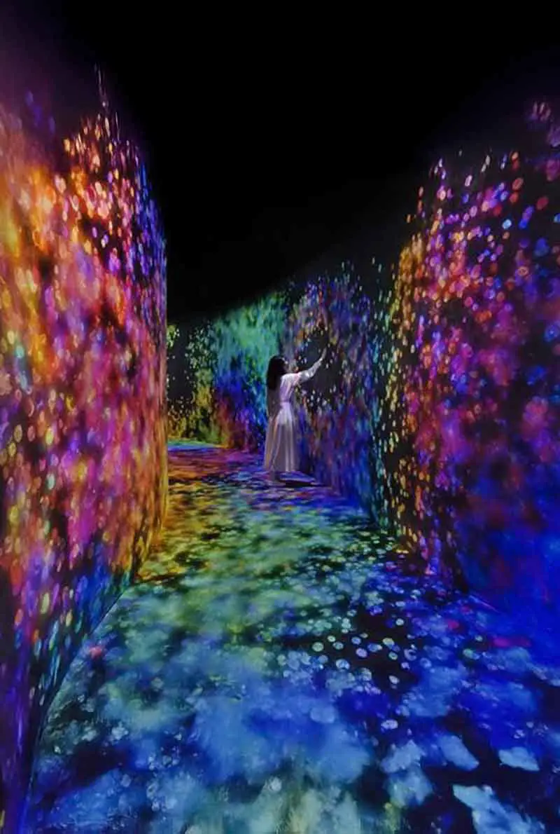TeamLab Phenomena Abu Dhabi — photo 3 of 10