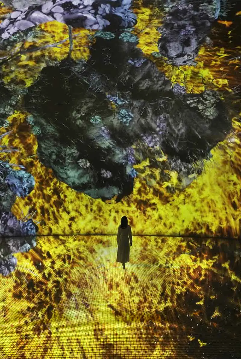 TeamLab Phenomena Abu Dhabi — photo 4 of 10