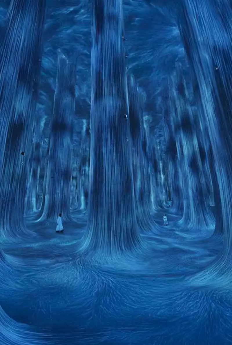TeamLab Phenomena Abu Dhabi — photo 5 of 10