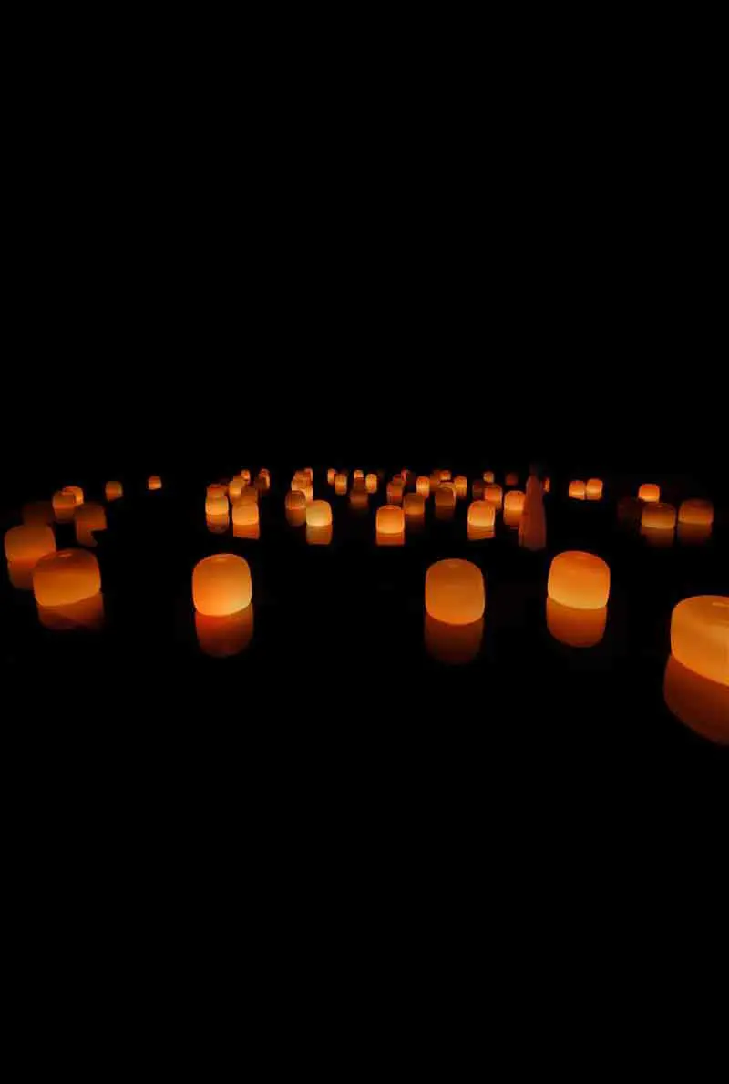 TeamLab Phenomena Abu Dhabi — photo 6 of 10