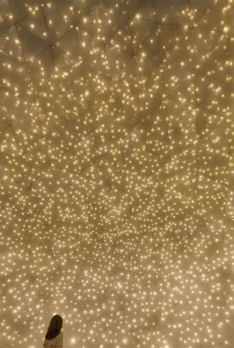 TeamLab Phenomena Abu Dhabi — photo 8 of 10