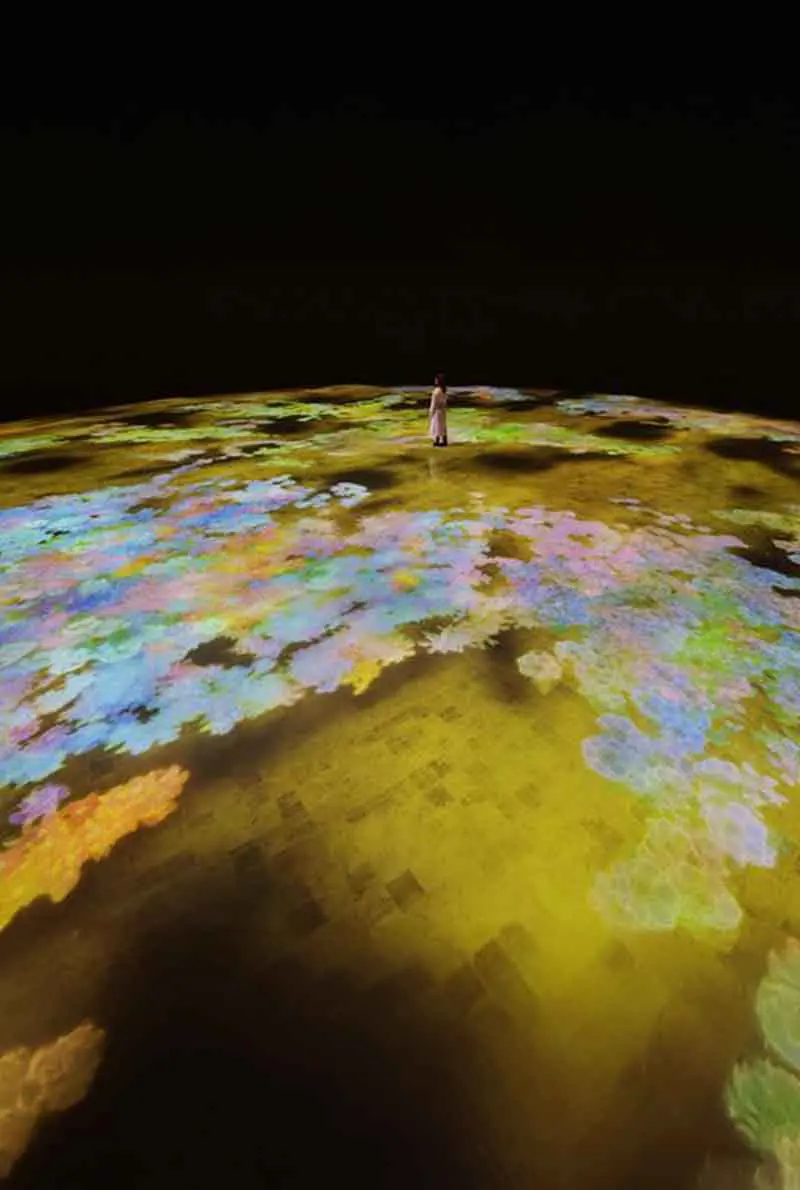 TeamLab Phenomena Abu Dhabi — photo 9 of 10