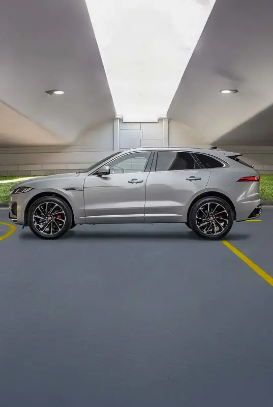 Jaguar — photo 3 of 4