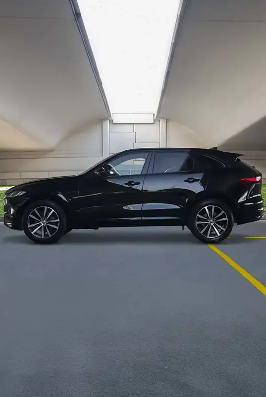 Jaguar — photo 4 of 4