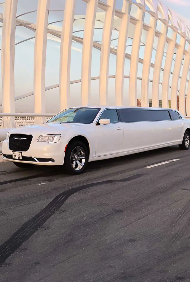 Private Luxury Limousine — photo 7 of 7