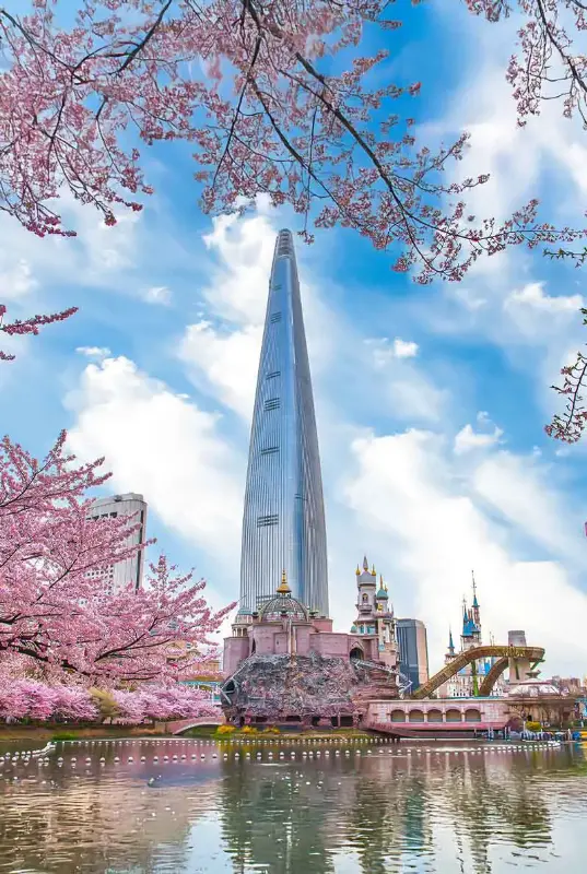 4-Night Seoul Discovery Tour — photo 3 of 7