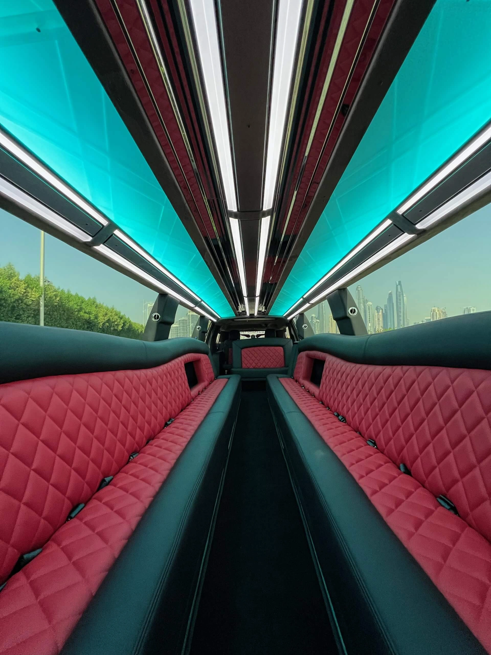 Denali 2.0 Limousine — photo 4 of 5