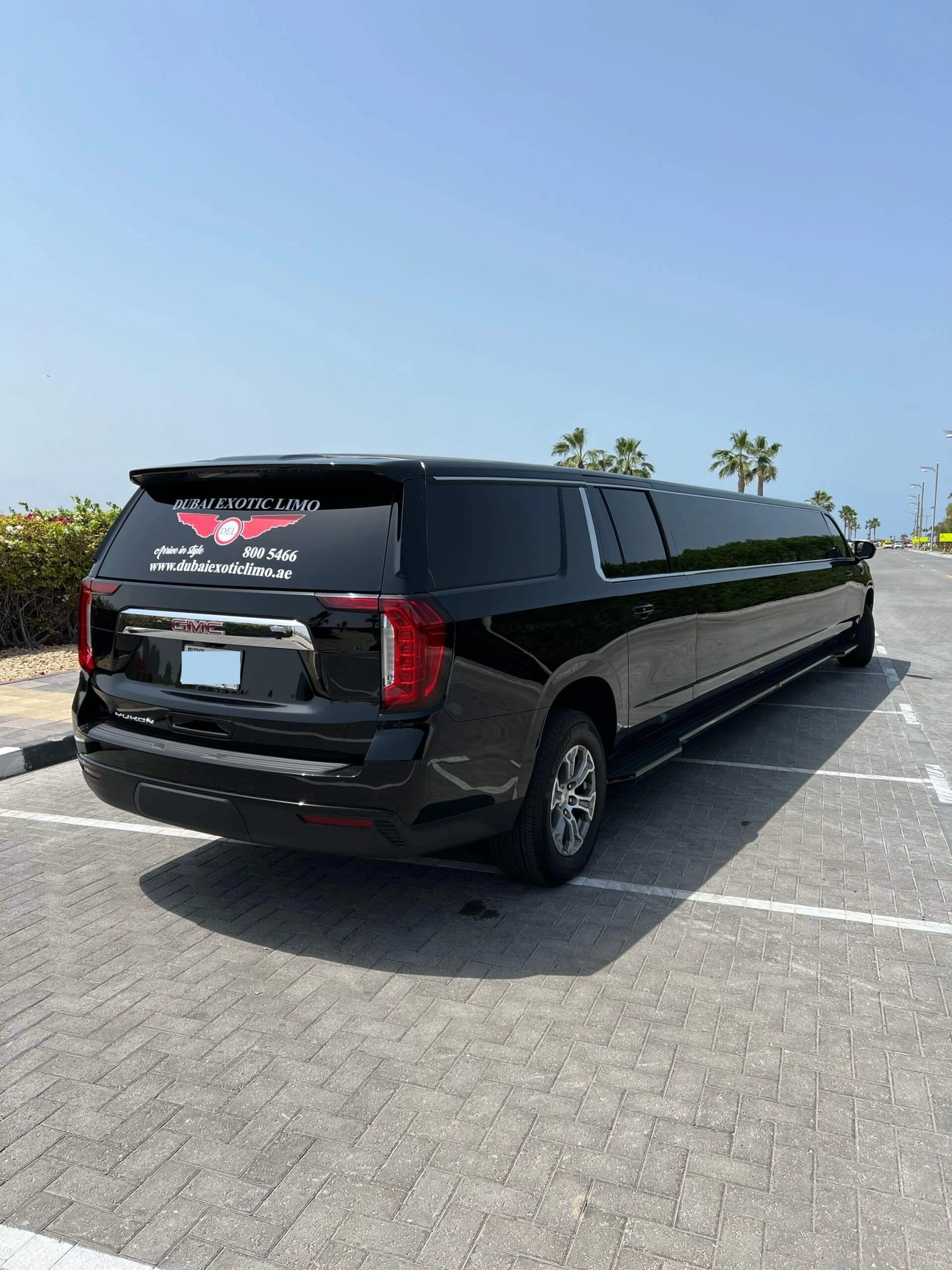Denali 2.0 Limousine — photo 5 of 5