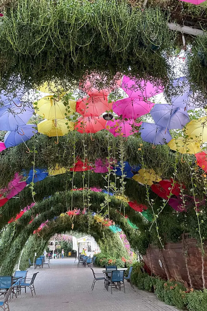 Dubai Butterfly Garden — Dubai City tour experience with Flyout Tours