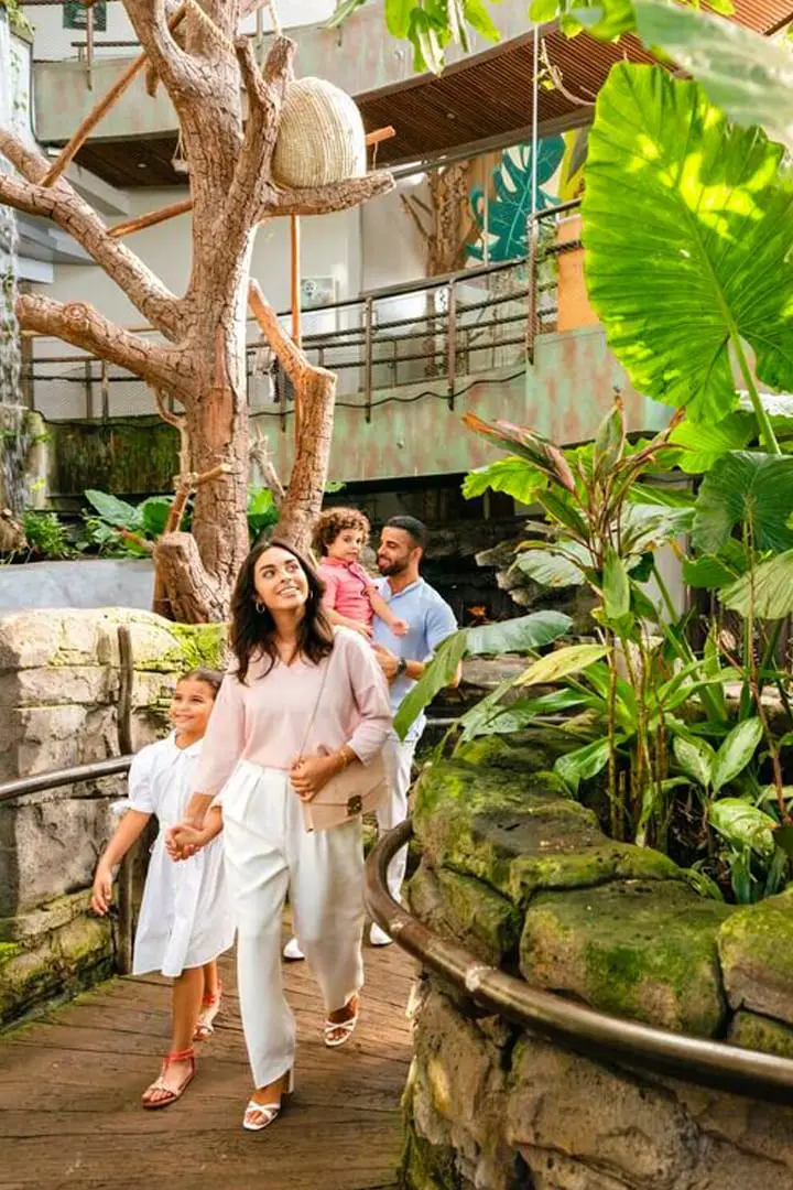 The Green Planet — Dubai City tour experience with Flyout Tours