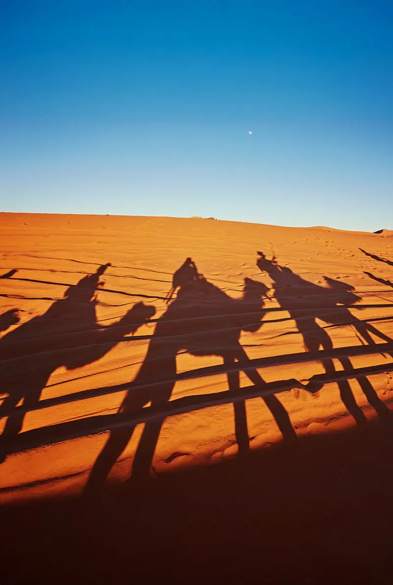 Authentic Dubai Camel Trek at Dawn Intimate Desert Sunrise Experience — photo 4 of 4