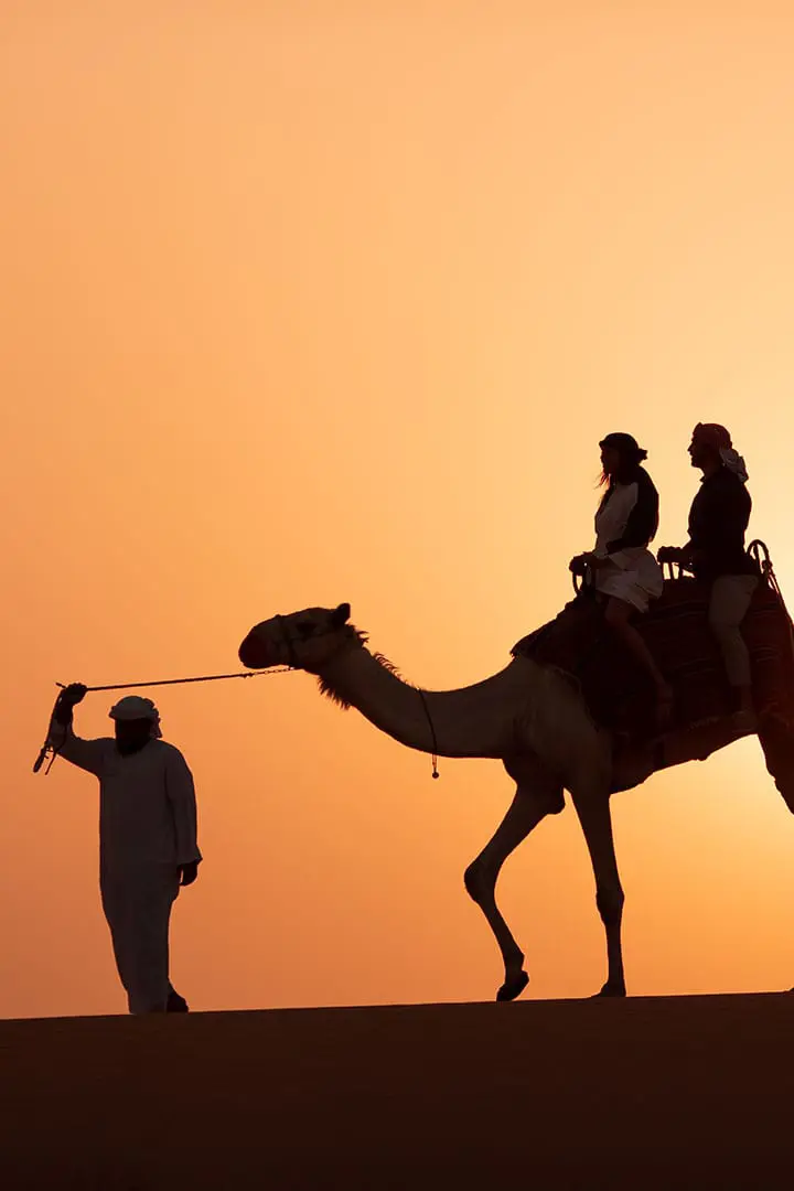 Platinum Desert Safari with Range Rover Pick Up and Drop Off — Dubai Desert, Dubai tour experience with Flyout Tours