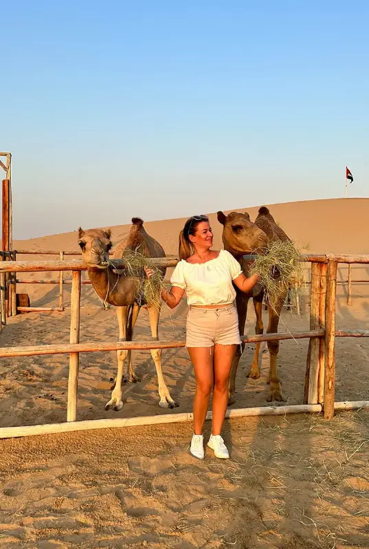 Premium Desert Safari with Pick Up and Drop Off by 4x4 Car — photo 4 of 9