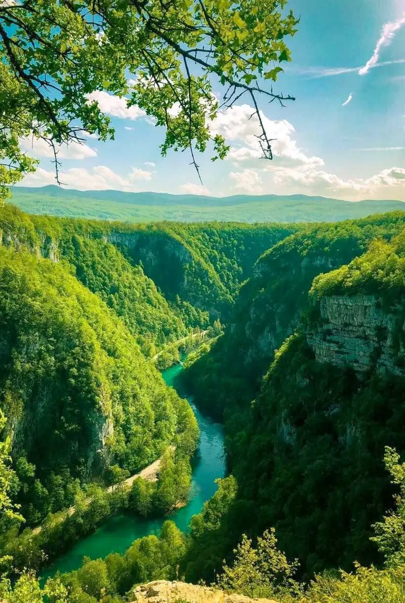 Bosnia Visa Assist — photo 7 of 7
