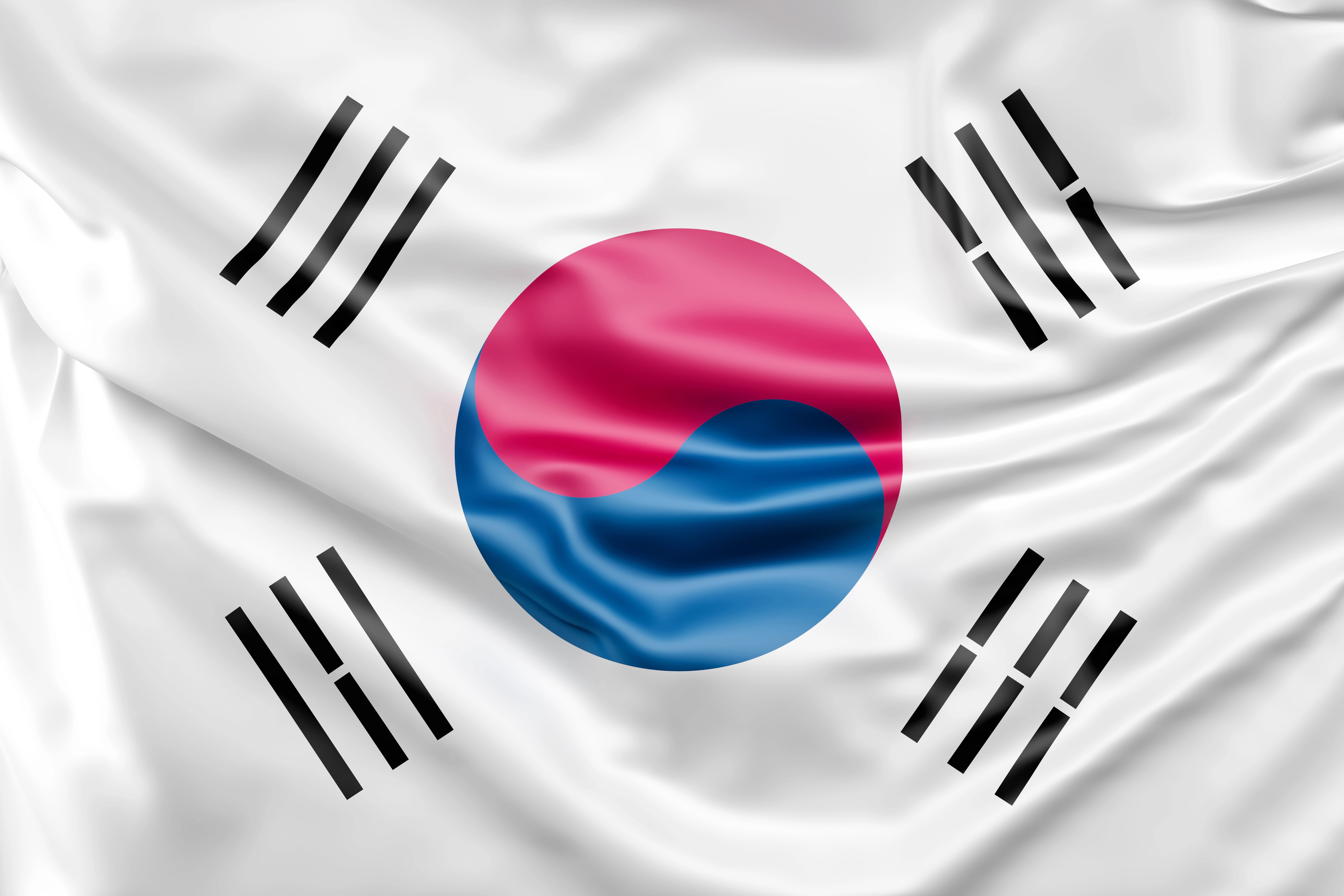Korea Visa Assistance — Dubai, United Arab Emirates tour experience with Flyout Tours