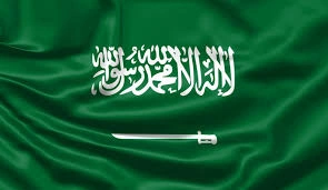 Saudi Arabia Visa Assistance — Dubai, United Arab Emirates tour experience with Flyout Tours