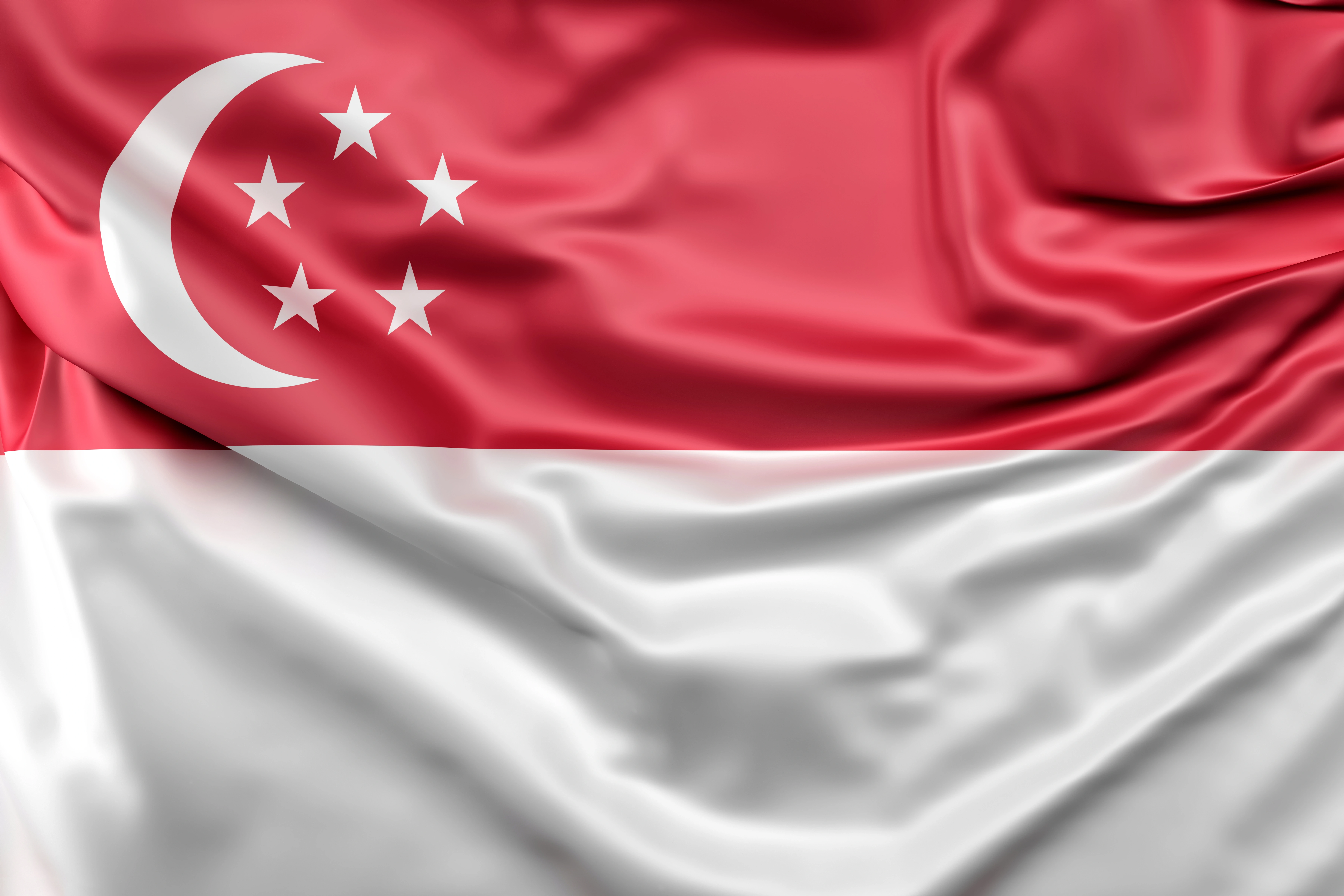 Singapore Visa Assistance in Dubai, United Arab Emirates — book with Flyout Tours