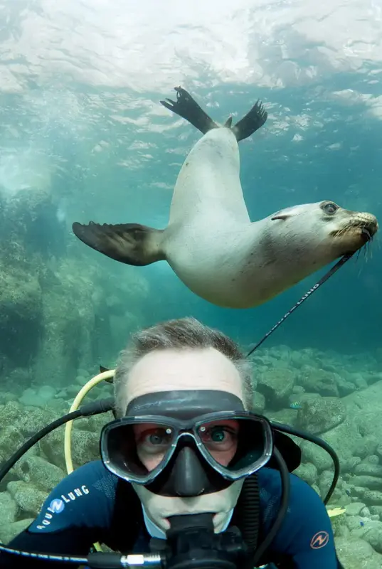 Fujairah Snorkeling Adventure — photo 3 of 5