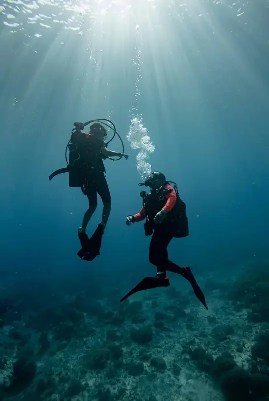 Fujairah Snorkeling Adventure — photo 4 of 5