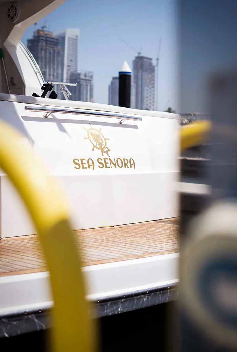 Private Sea Senora Leisure Yachts — photo 3 of 8